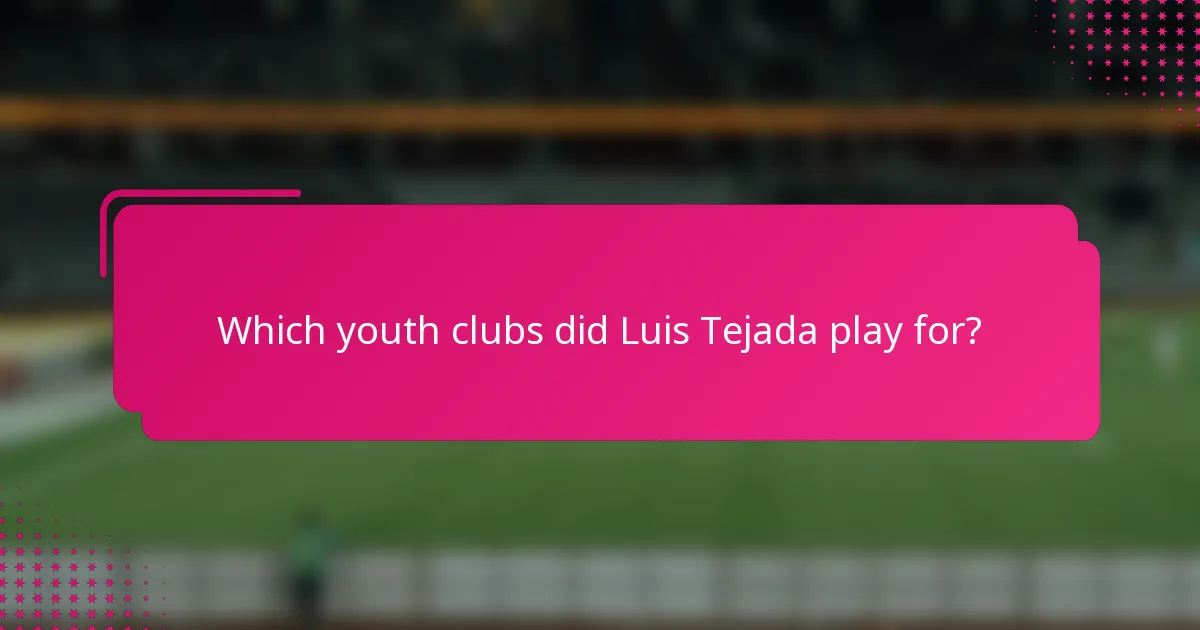 Which youth clubs did Luis Tejada play for?
